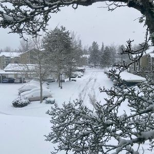 Meet your Posher, Yerim